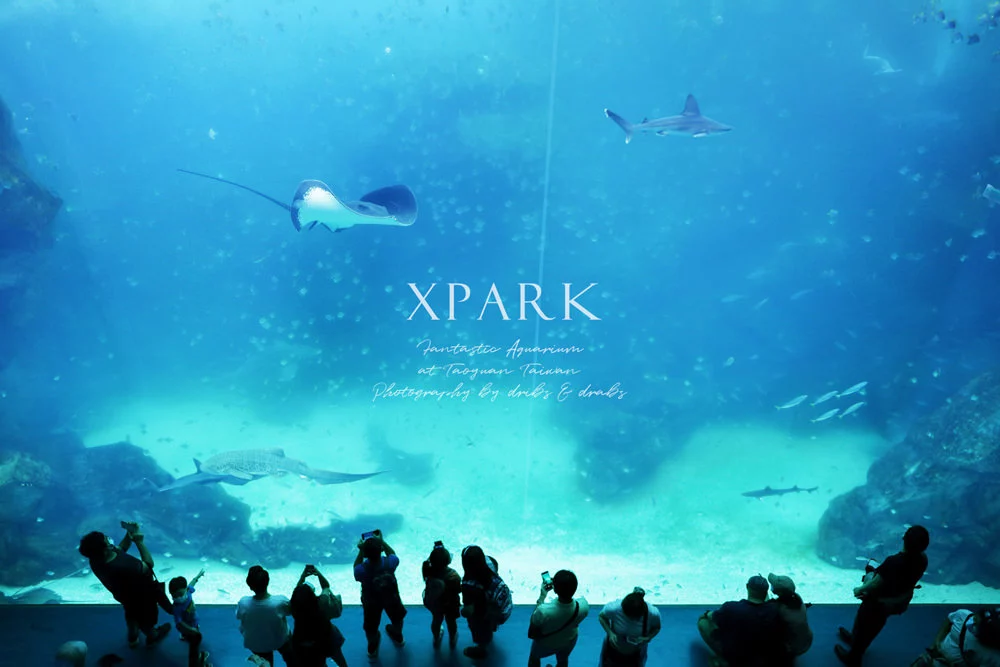 桃園XPARK水族館05.webp