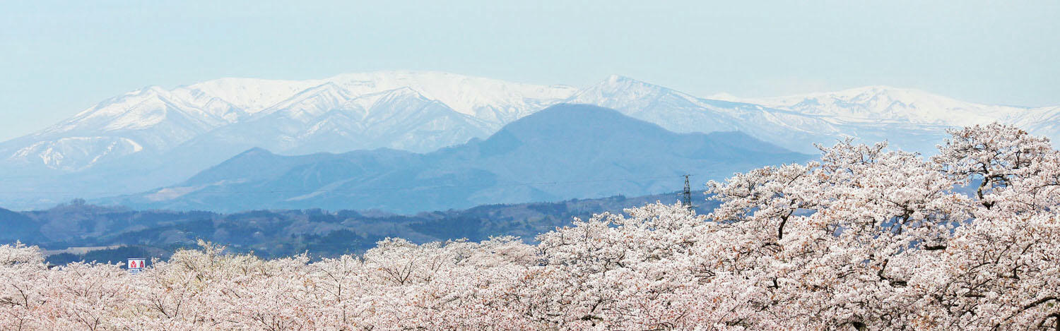 JP_tohoku_cover-1-1