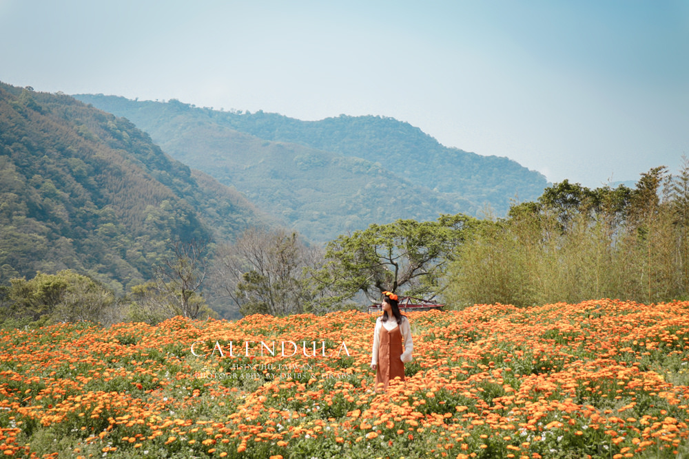 1616378694-782258091-g-1 1616378694-782258091-g-1