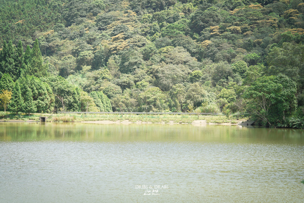 苗栗南庄向天湖咖啡民宿向天湖餐廳
