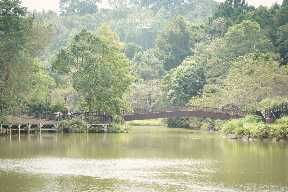 苗栗南庄向天湖咖啡民宿向天湖餐廳