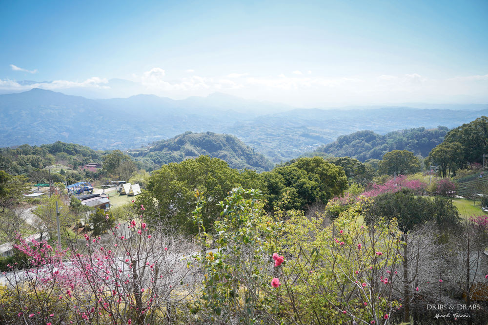 苗栗大湖鍾鼎山林草莓火鍋