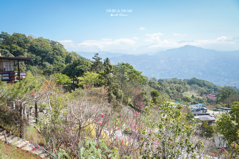 苗栗大湖鍾鼎山林草莓火鍋