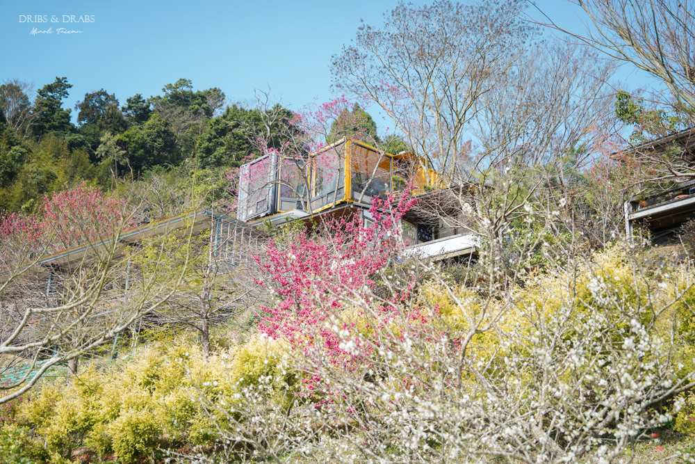 新竹尖石那羅部落香草之旅島內散步