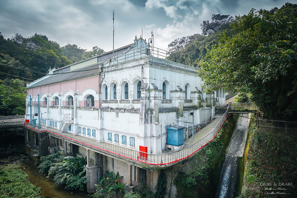 新竹湖口仁和步道新竹賞桐新竹桐花