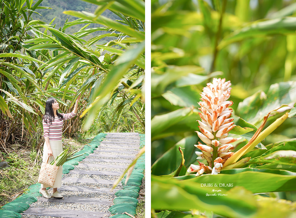 新竹尖石那羅部落香草之旅島內散步