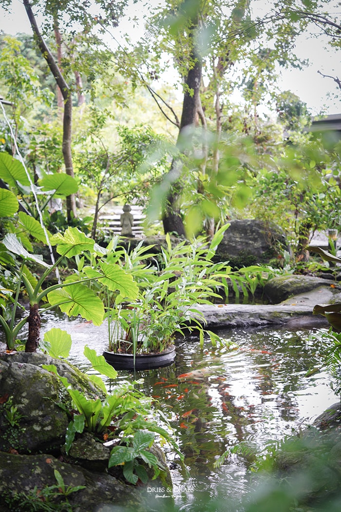 花蓮鳳林美食月廬食堂梅子雞
