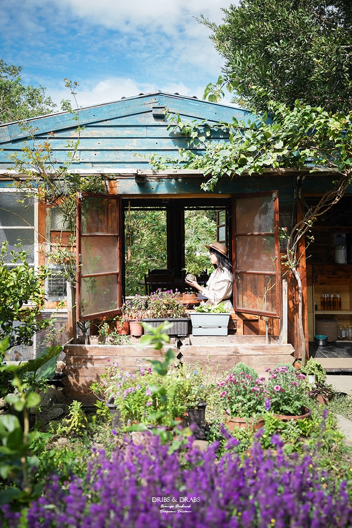 桃園龍潭秘境咖啡館青山吉田