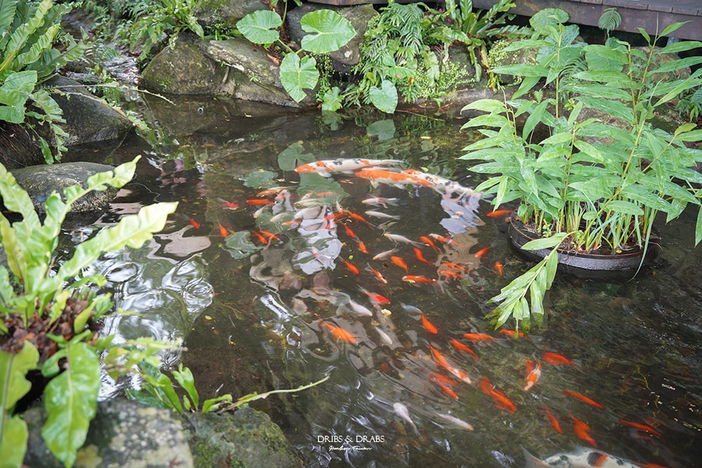 花蓮鳳林美食月廬食堂梅子雞