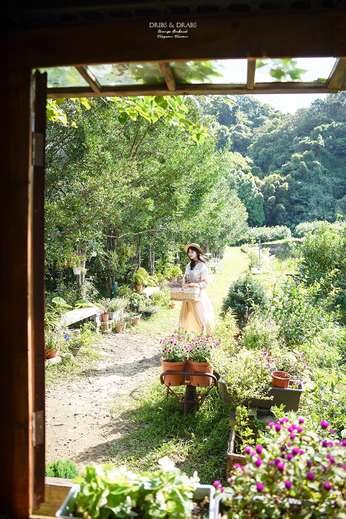 桃園龍潭秘境咖啡館青山吉田