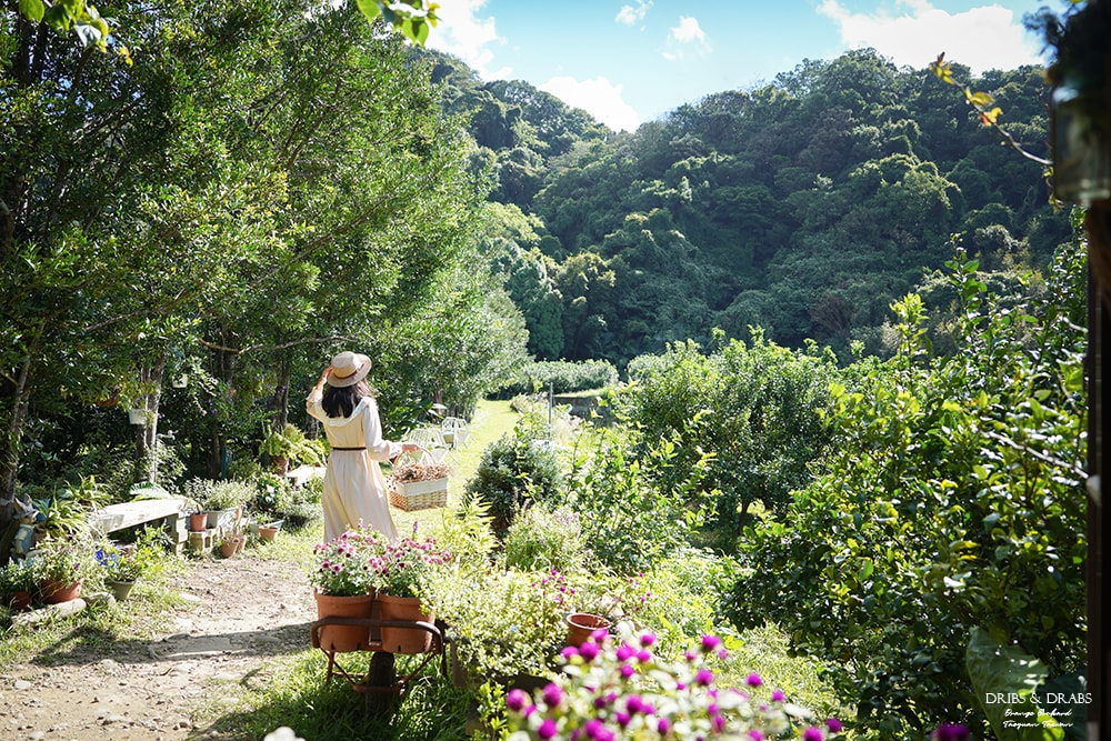 桃園龍潭秘境咖啡館青山吉田