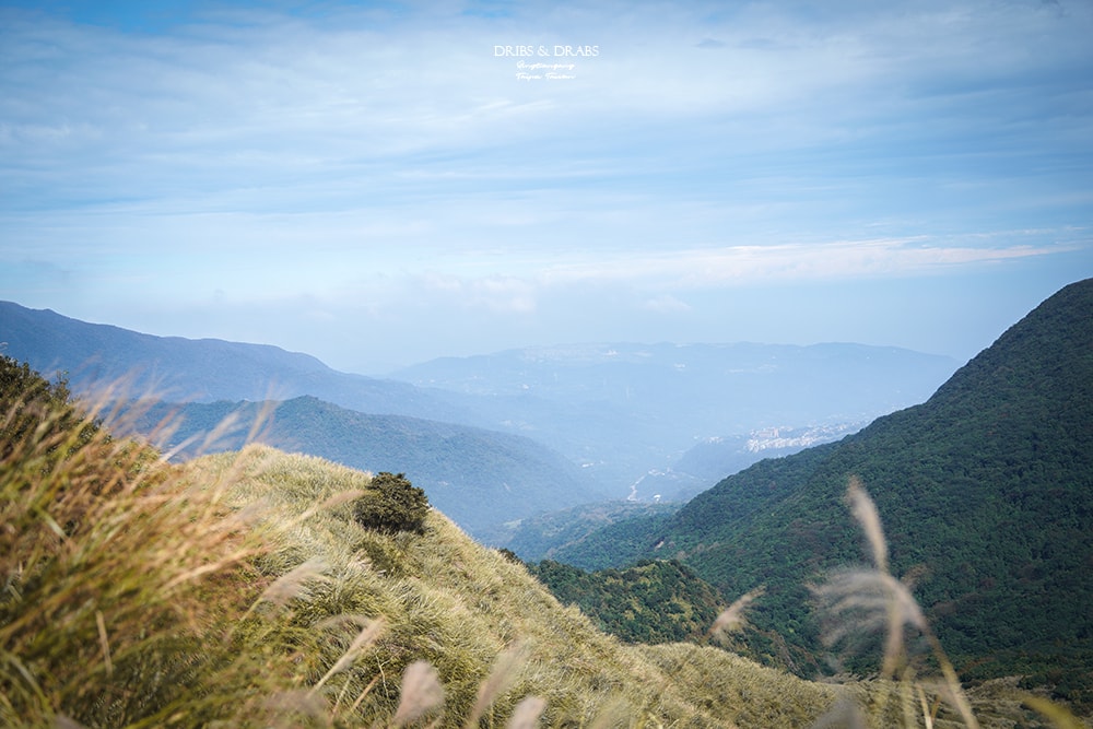 陽明山擎天崗芒草季
