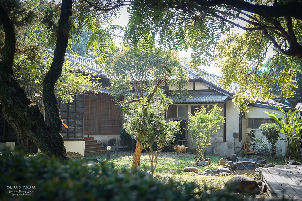 雲林虎尾景點