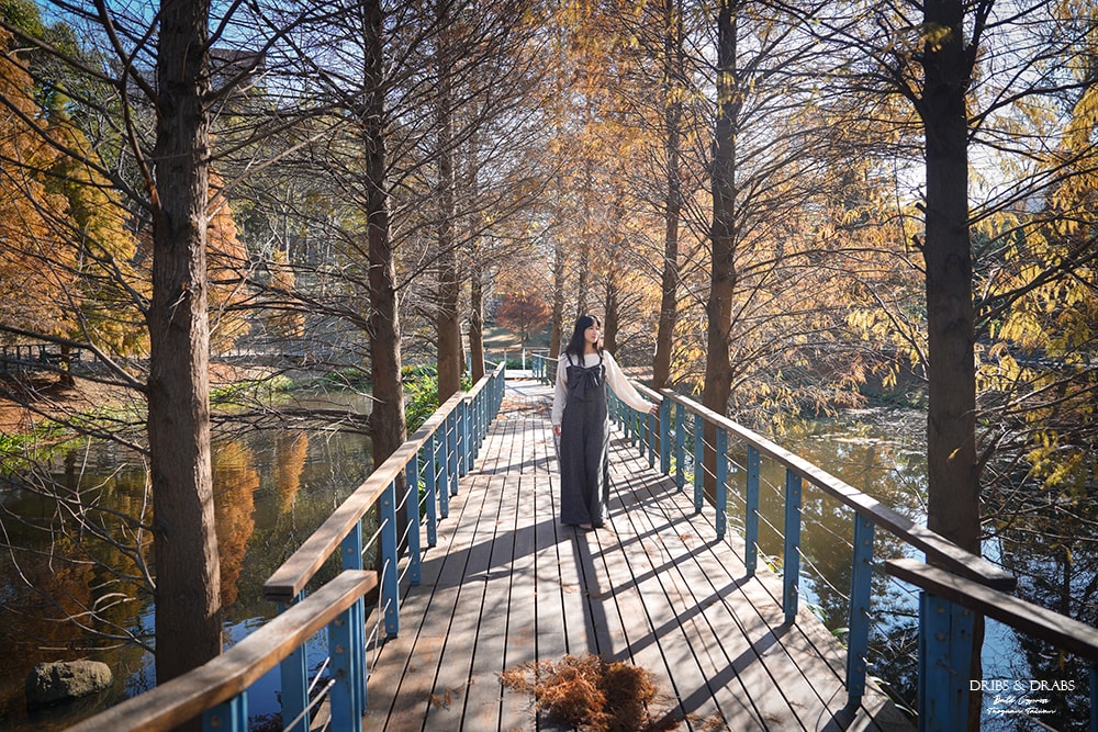長庚養生文化村落羽松公園