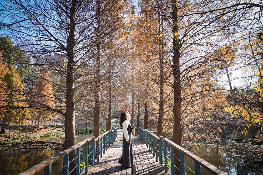 長庚養生文化村落羽松公園
