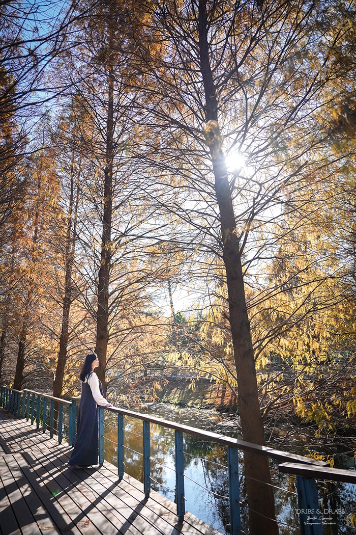 長庚養生文化村落羽松公園