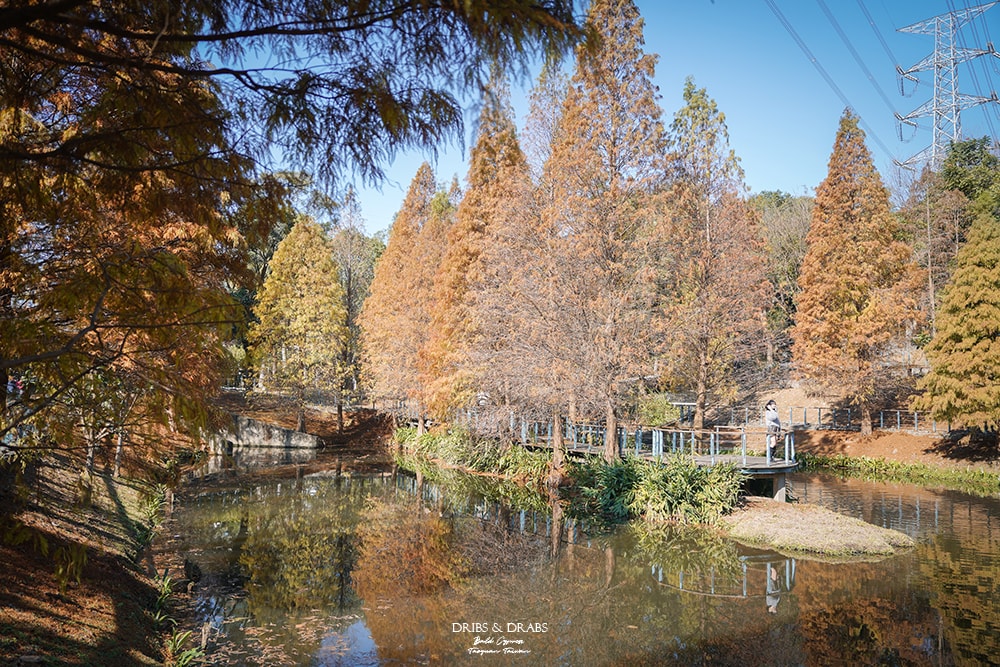 長庚養生文化村落羽松公園
