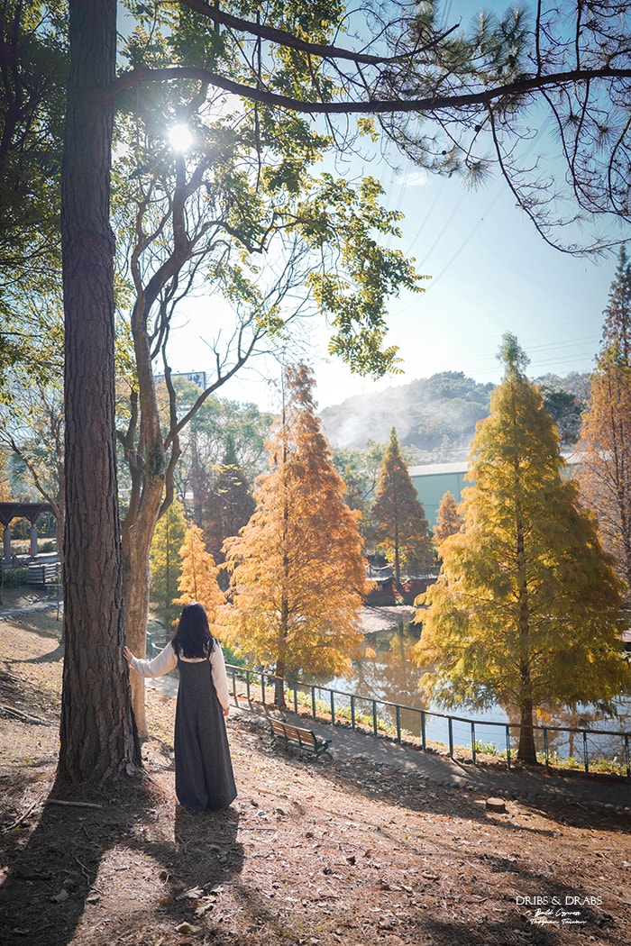 長庚養生文化村落羽松公園