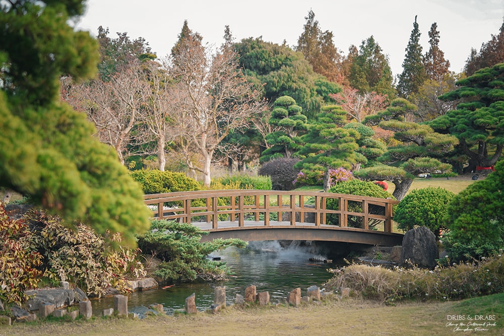彰化景點成美文化園