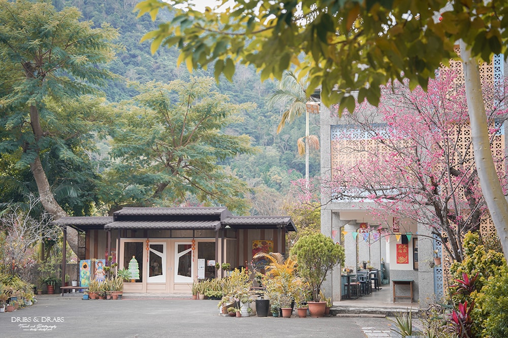 橫山青夏