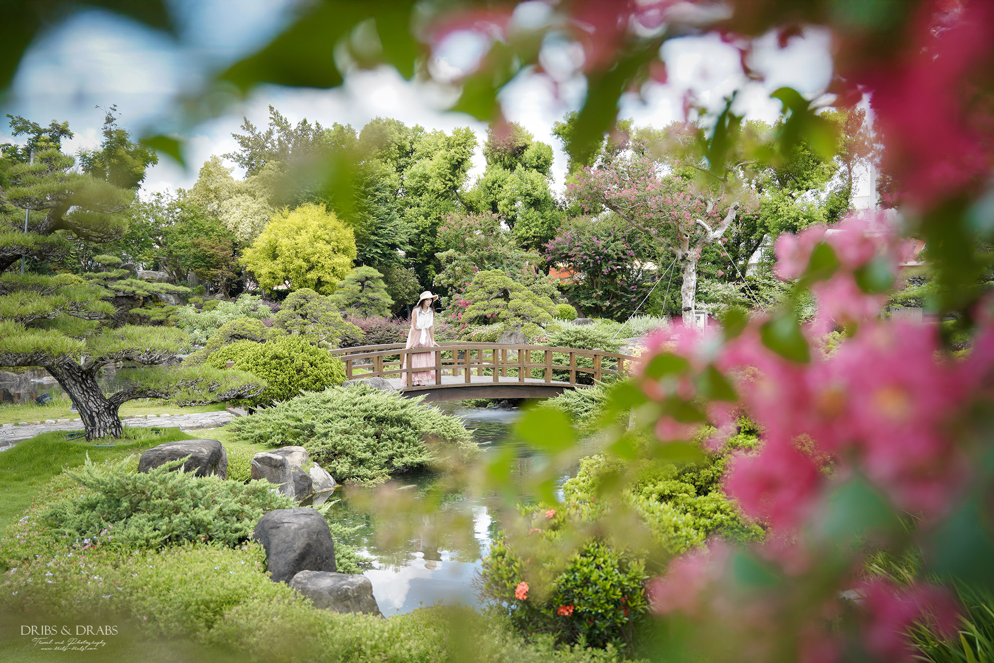 彰化成美文化園仲夏百日紅紫薇花季