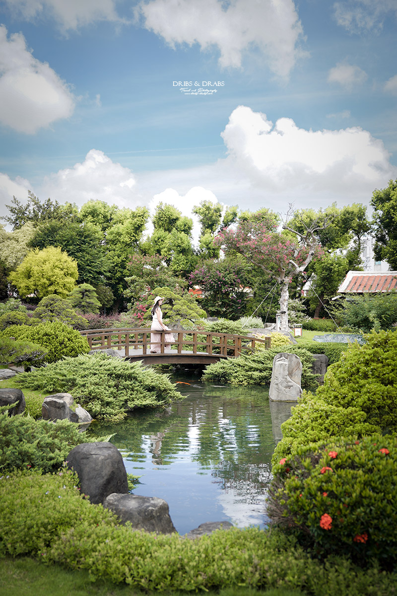 彰化成美文化園仲夏百日紅紫薇花季