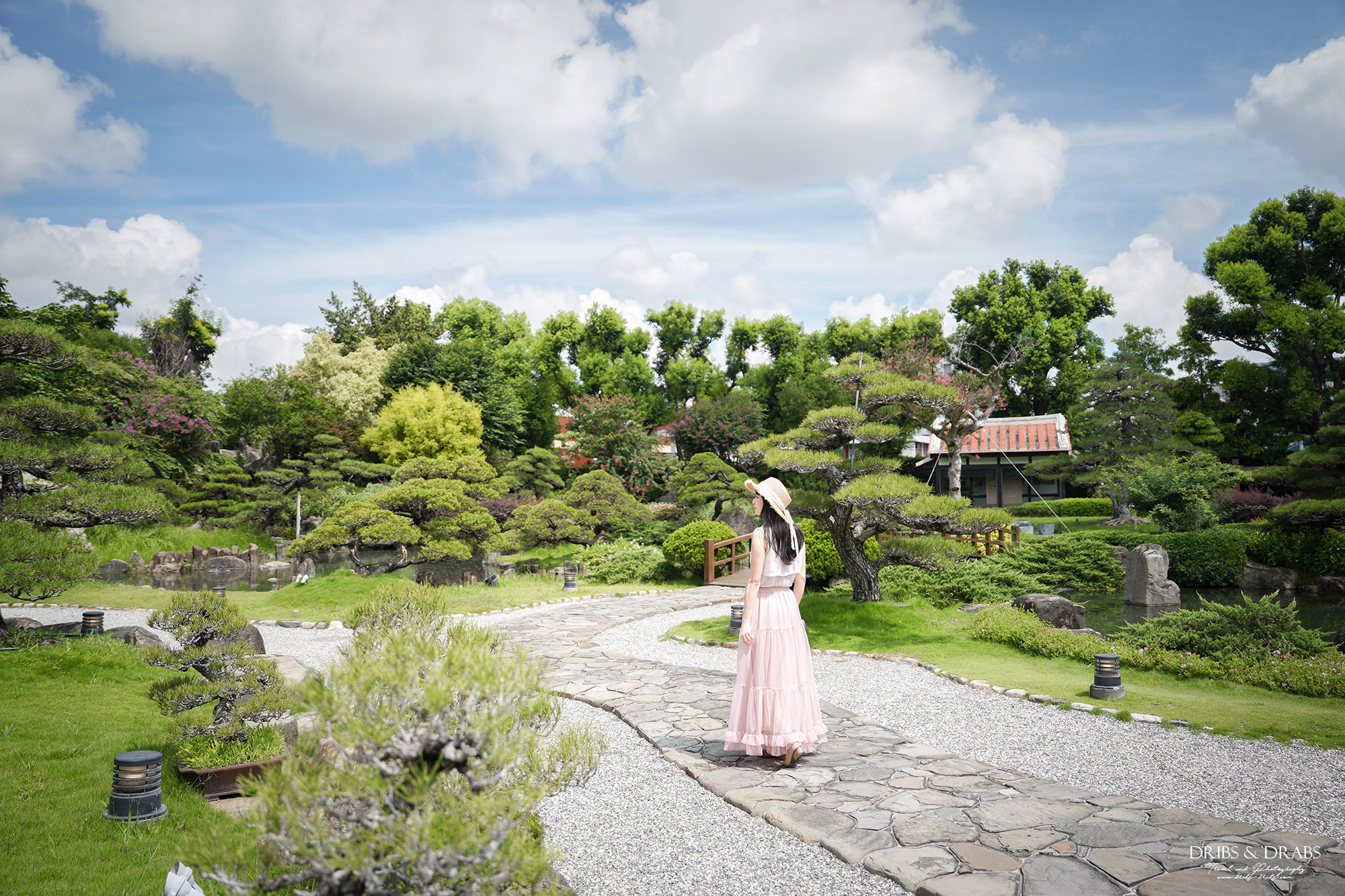 彰化成美文化園仲夏百日紅紫薇花季