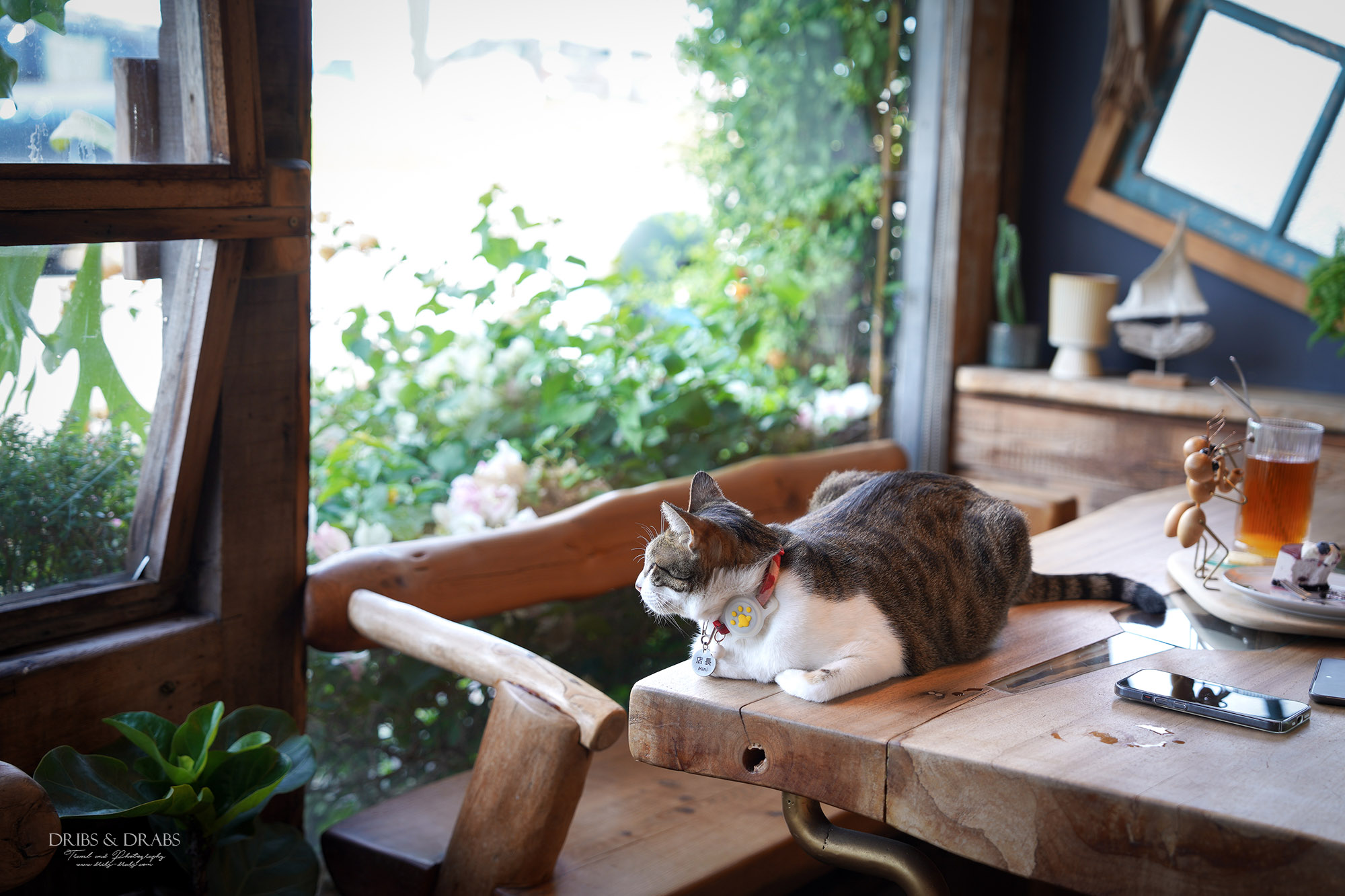 花蓮咖啡廳咖啡木CoffeeMoon