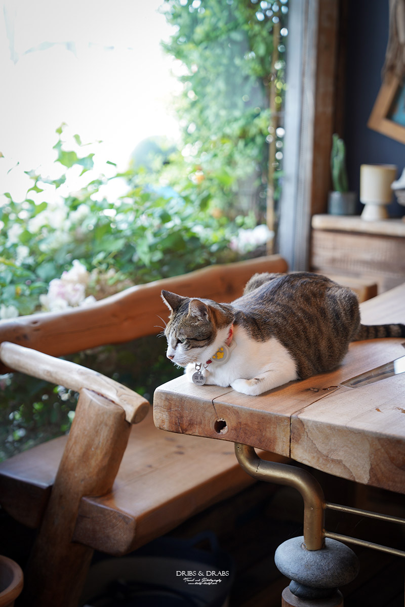 花蓮咖啡廳咖啡木CoffeeMoon