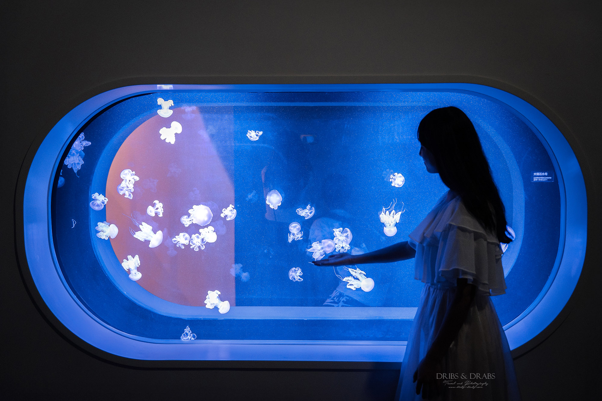 台中海洋館