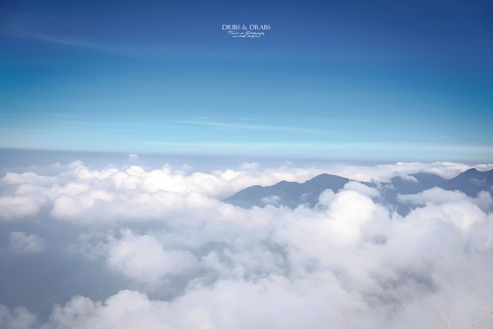 嘉義阿里山二延平步道|漫步雲端的茶園秘境,秋冬限定雲海季夢幻登場! - 第10張圖 嘉義阿里山二延平步道|漫步雲端的茶園秘境,秋冬限定雲海季夢幻登場!