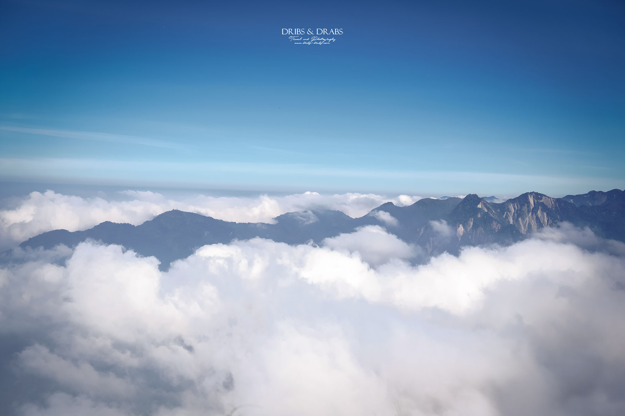 嘉義阿里山二延平步道|漫步雲端的茶園秘境,秋冬限定雲海季夢幻登場! - 第11張圖 嘉義阿里山二延平步道|漫步雲端的茶園秘境,秋冬限定雲海季夢幻登場!