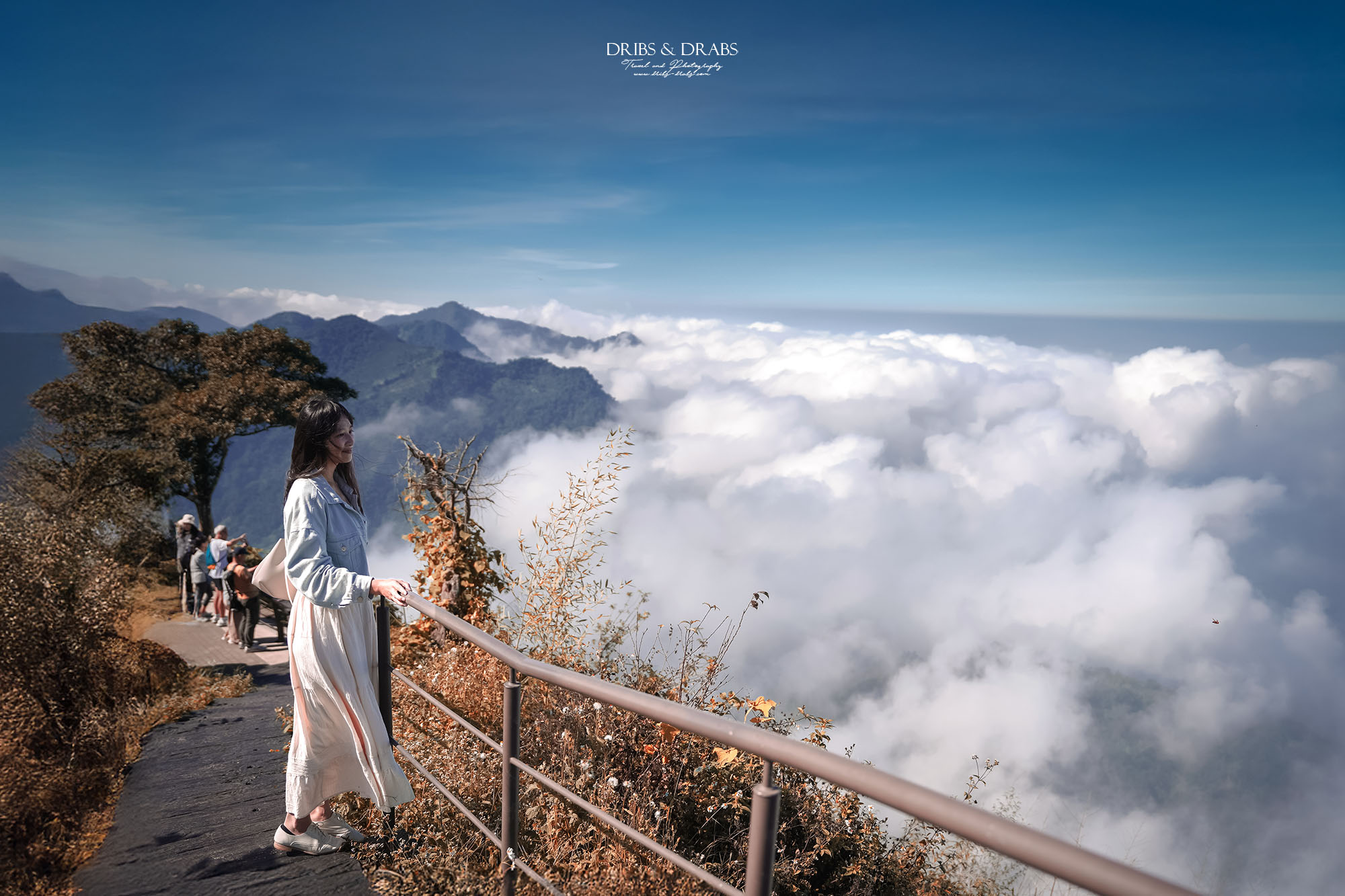 嘉義阿里山二延平步道|漫步雲端的茶園秘境,秋冬限定雲海季夢幻登場! - 第14張圖 嘉義阿里山二延平步道|漫步雲端的茶園秘境,秋冬限定雲海季夢幻登場!