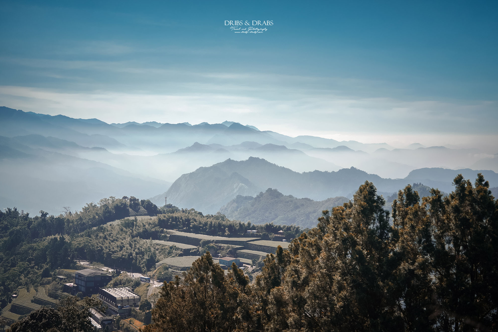 嘉義阿里山二延平步道|漫步雲端的茶園秘境,秋冬限定雲海季夢幻登場! - 第16張圖 嘉義阿里山二延平步道|漫步雲端的茶園秘境,秋冬限定雲海季夢幻登場!