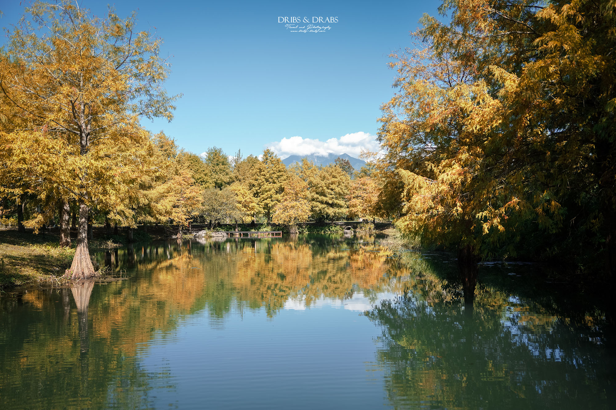 花蓮新景點理想PAARK水岸生活搭船 花蓮新景點理想PAARK水岸生活搭船