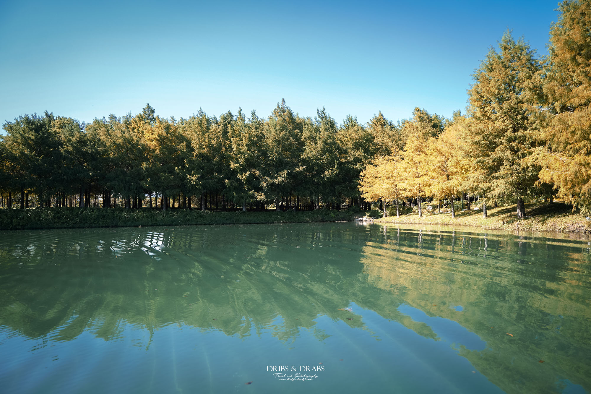 花蓮新景點理想PAARK水岸生活搭船 花蓮新景點理想PAARK水岸生活搭船