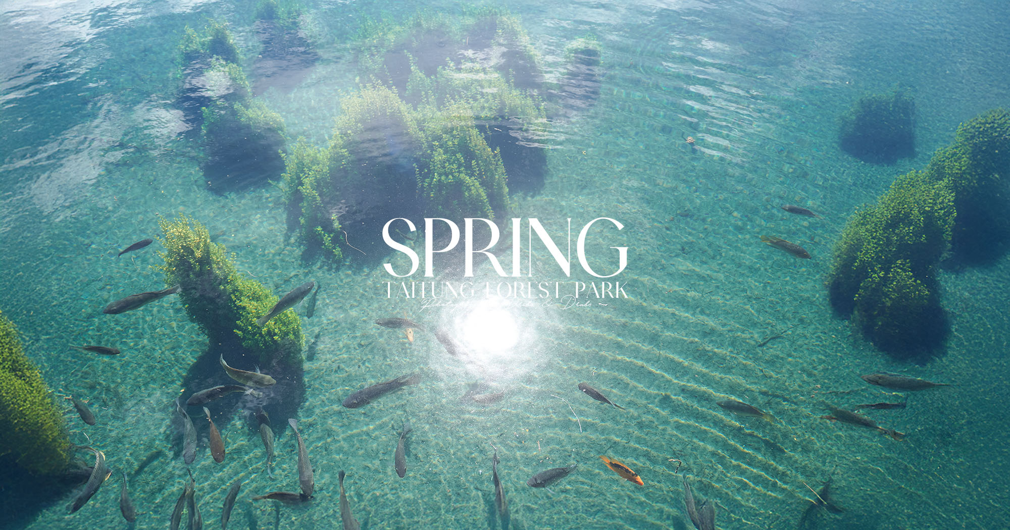 台東3天2夜親子旅遊行程｜帶你走訪台東新景點, 秋冬暖心療癒小旅行