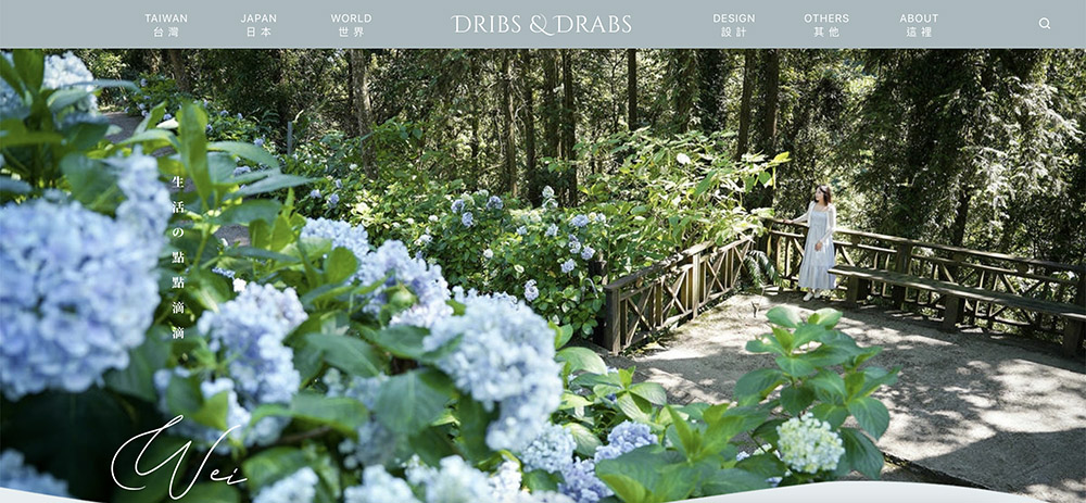 WordPress網站設計版型設計