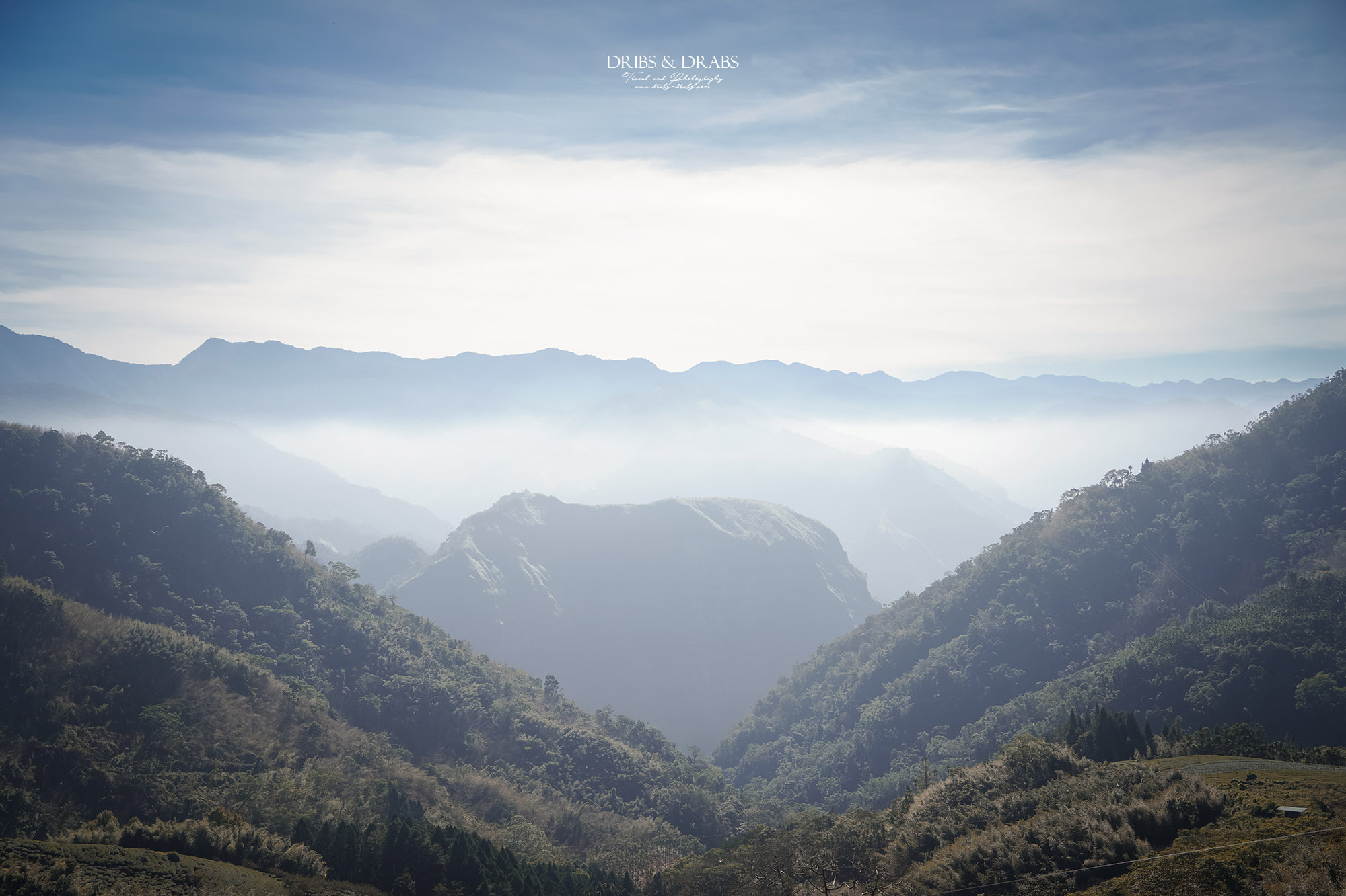 嘉義阿里山住宿推薦｜璦勒芬莊園民宿新開幕，隙頂象山看日出絕佳視野民宿