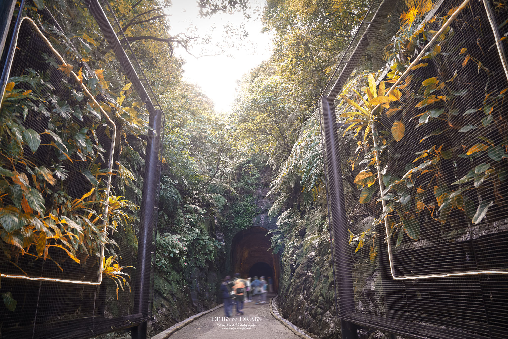 基隆新景點劉銘傳隧道基隆市定古蹟 基隆新景點劉銘傳隧道基隆市定古蹟