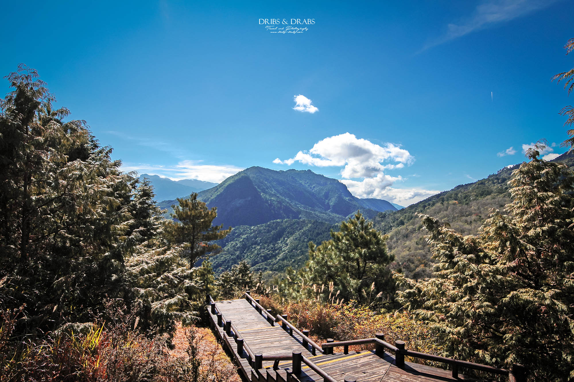 新竹五峰旅遊攻略｜三日遊行程指南：觀霧森林遊憩區,雪霸農場,山上人家, 清泉部落, 白蘭部落