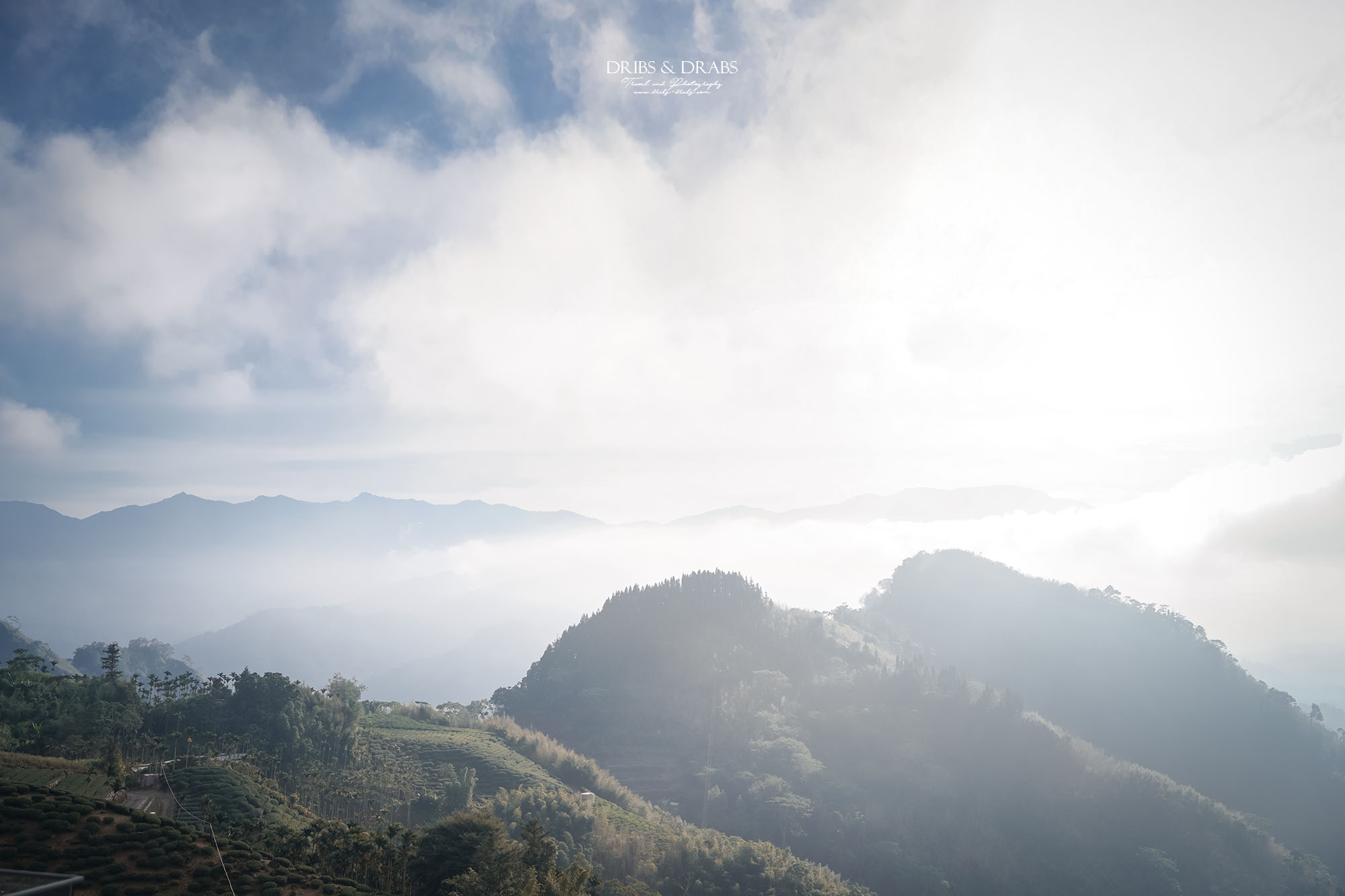 嘉義阿里山住宿推薦｜璦勒芬莊園民宿新開幕，隙頂象山看日出絕佳視野民宿