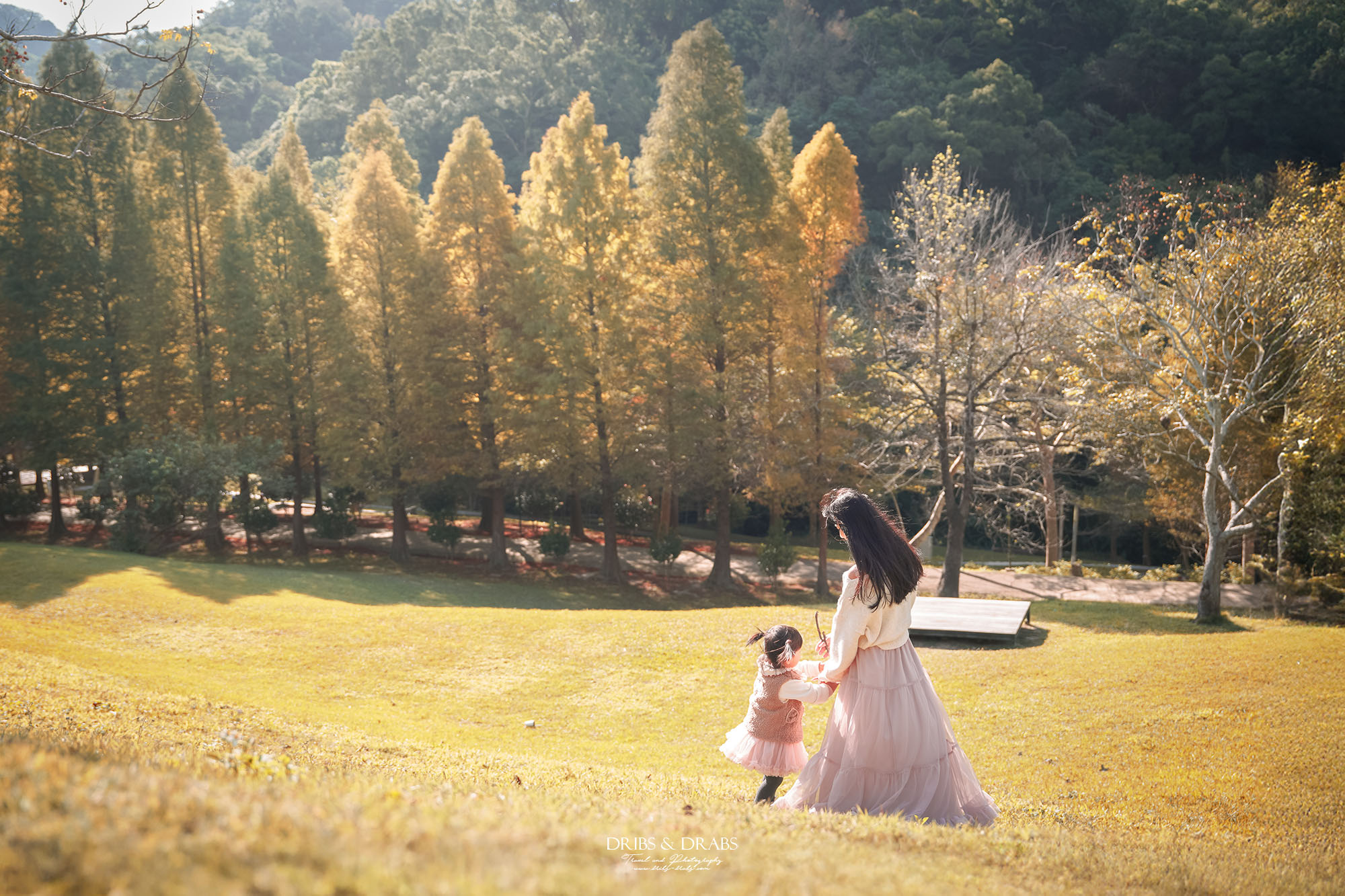新竹芎林小森之歌｜新竹落羽松景點推薦＋白色教堂草地野餐打卡
