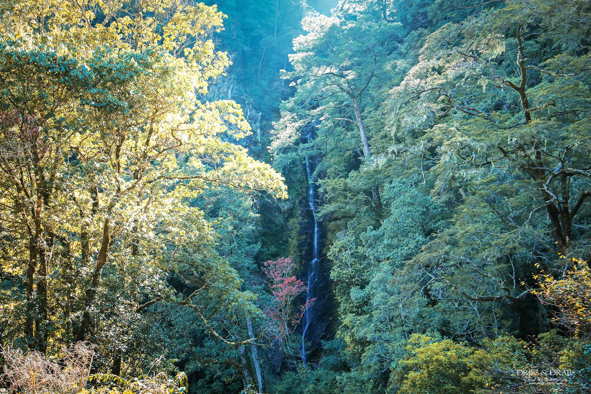 新竹五峰旅遊攻略｜三日遊行程指南：觀霧森林遊憩區,雪霸農場,山上人家, 清泉部落, 白蘭部落