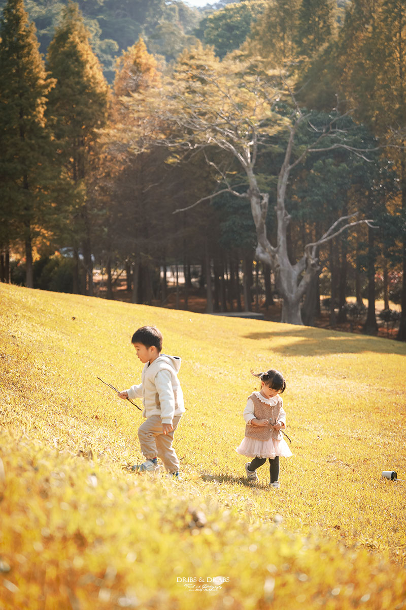 新竹芎林小森之歌｜新竹落羽松景點推薦＋白色教堂草地野餐打卡
