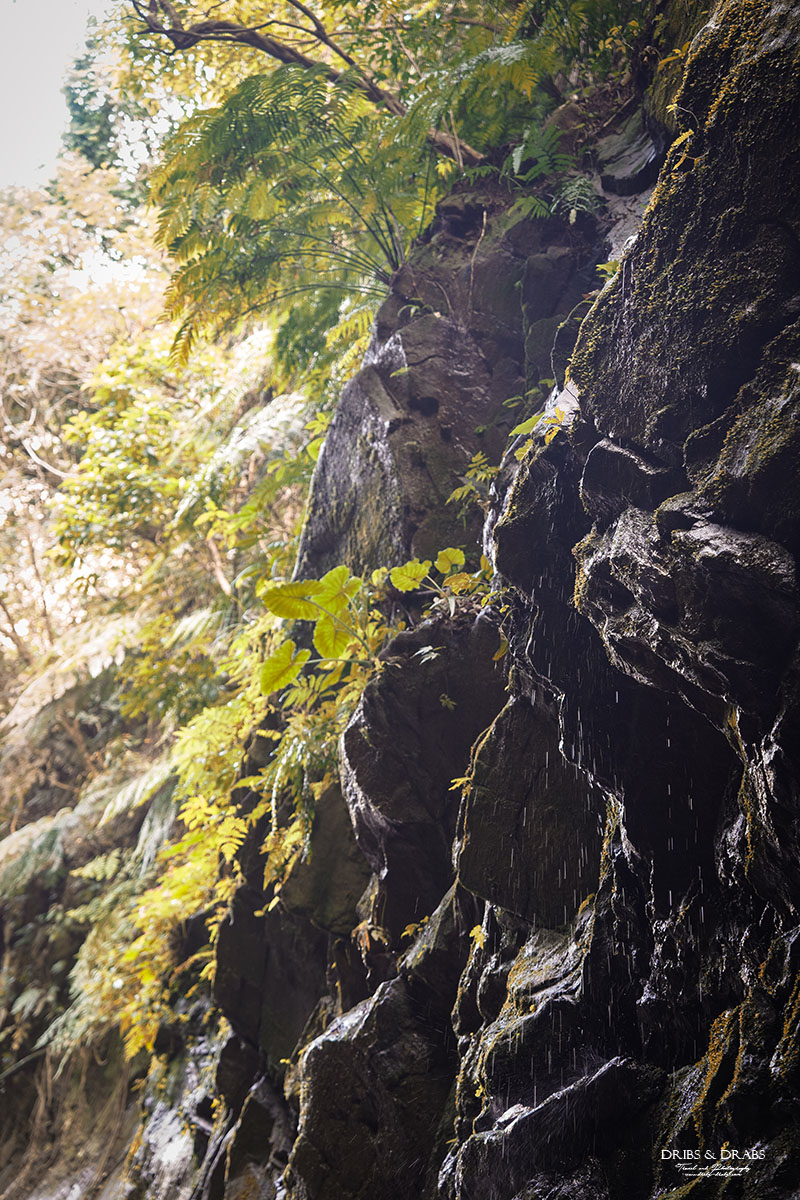 基隆新景點劉銘傳隧道基隆市定古蹟 基隆新景點劉銘傳隧道基隆市定古蹟
