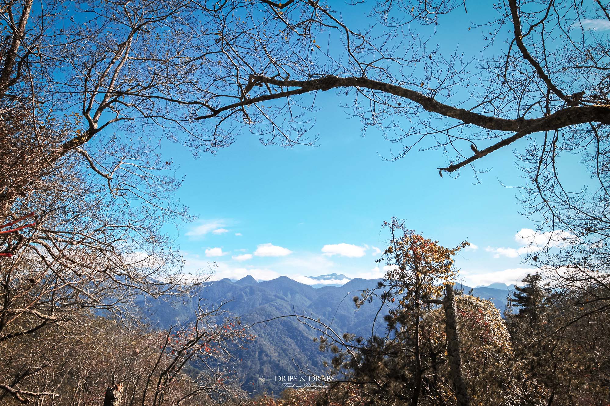 新竹五峰旅遊攻略｜三日遊行程指南：觀霧森林遊憩區,雪霸農場,山上人家, 清泉部落, 白蘭部落