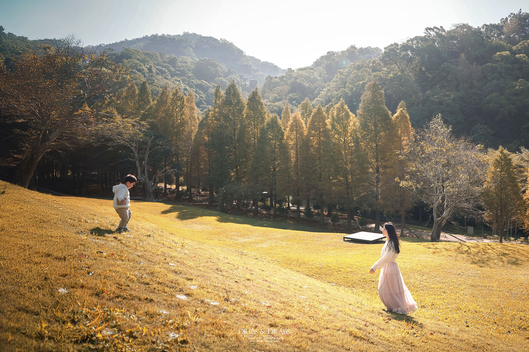 新竹芎林小森之歌｜新竹落羽松景點推薦＋白色教堂草地野餐打卡