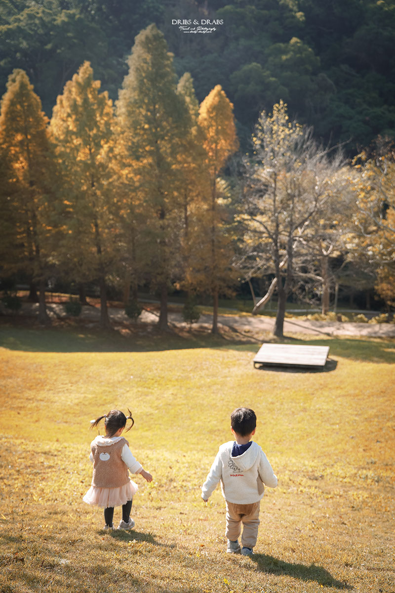 新竹芎林小森之歌｜新竹落羽松景點推薦＋白色教堂草地野餐打卡