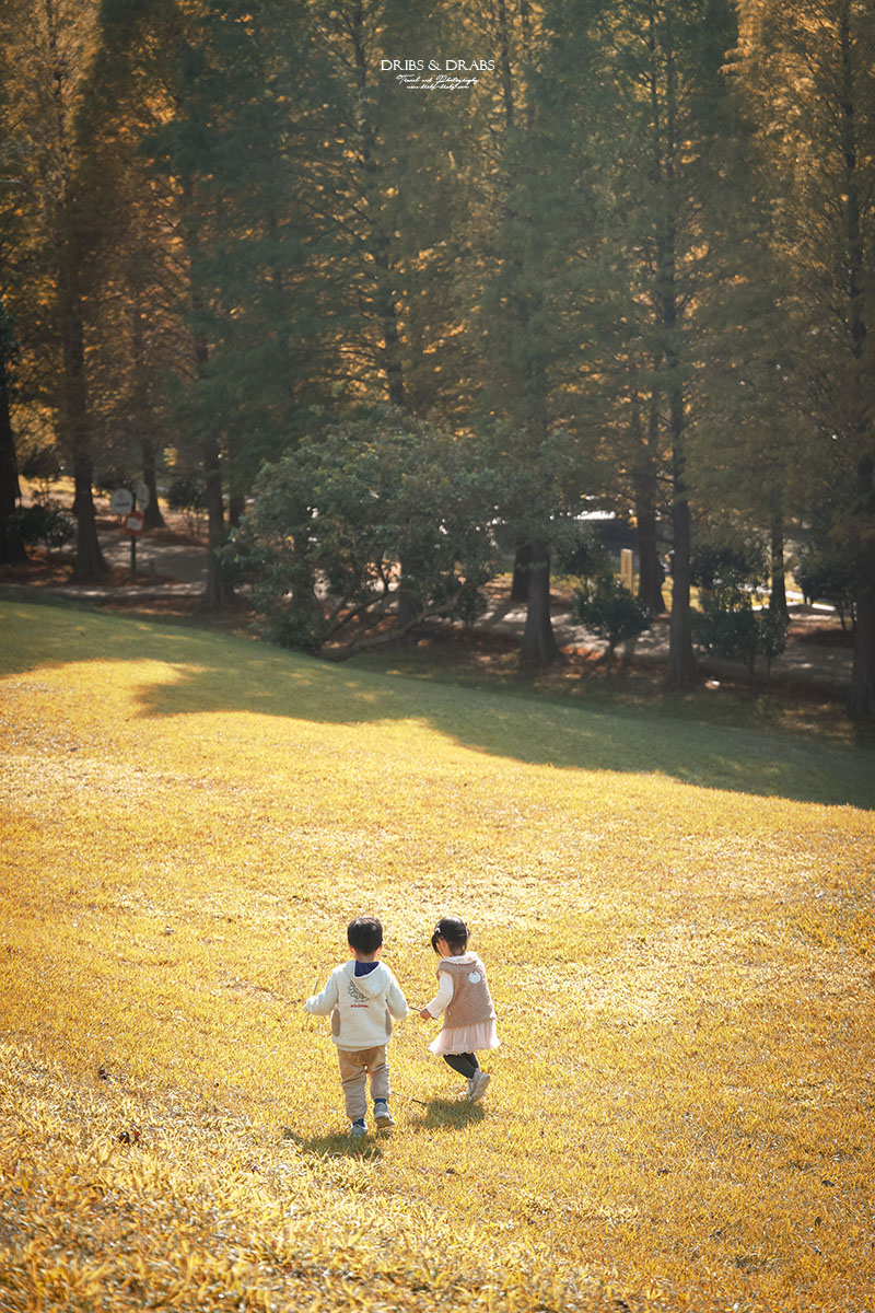 新竹芎林小森之歌｜新竹落羽松景點推薦＋白色教堂草地野餐打卡